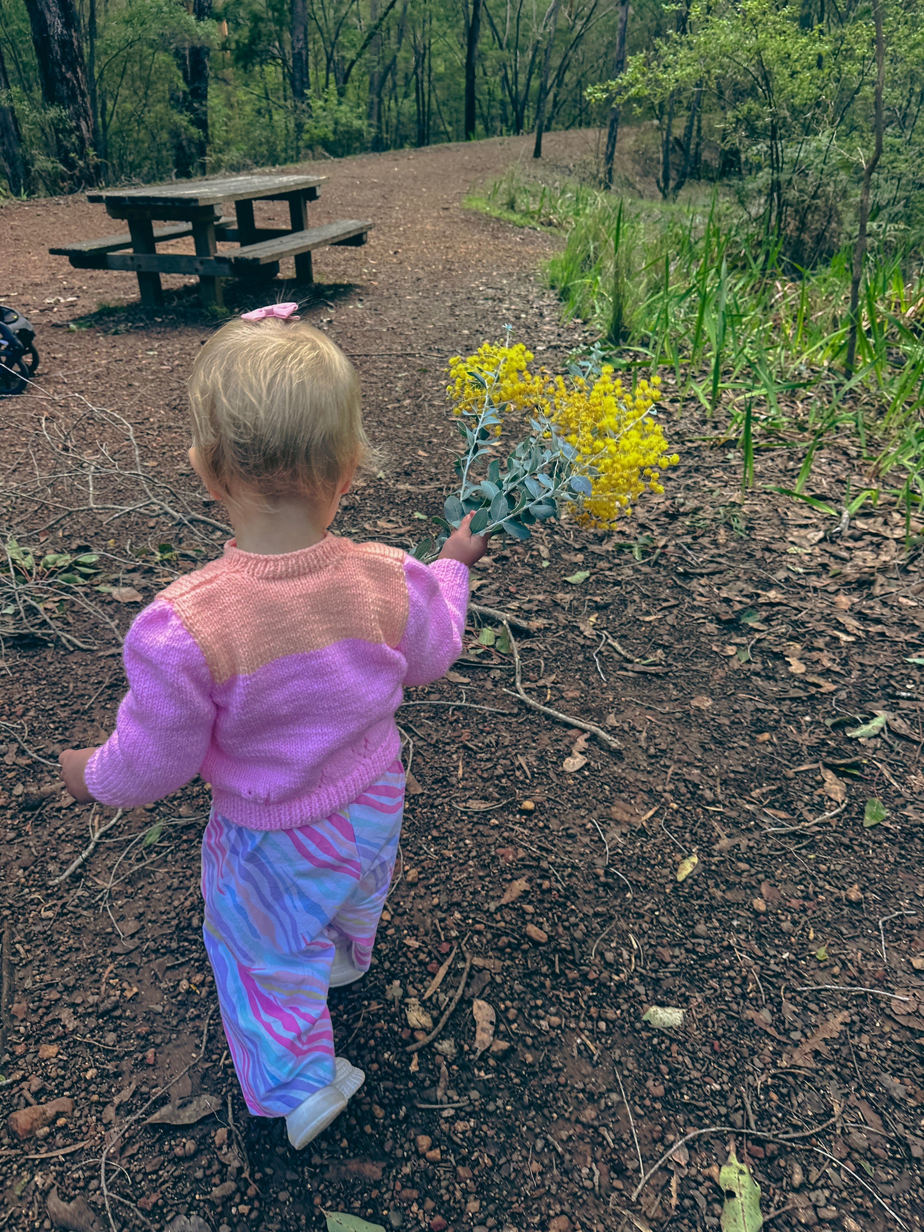 A toddler seen from behind wearing a pink and purple knit sweater and patterned pants, walking on a dirt path in a wooded outdoor setting while holding yellow flowers.