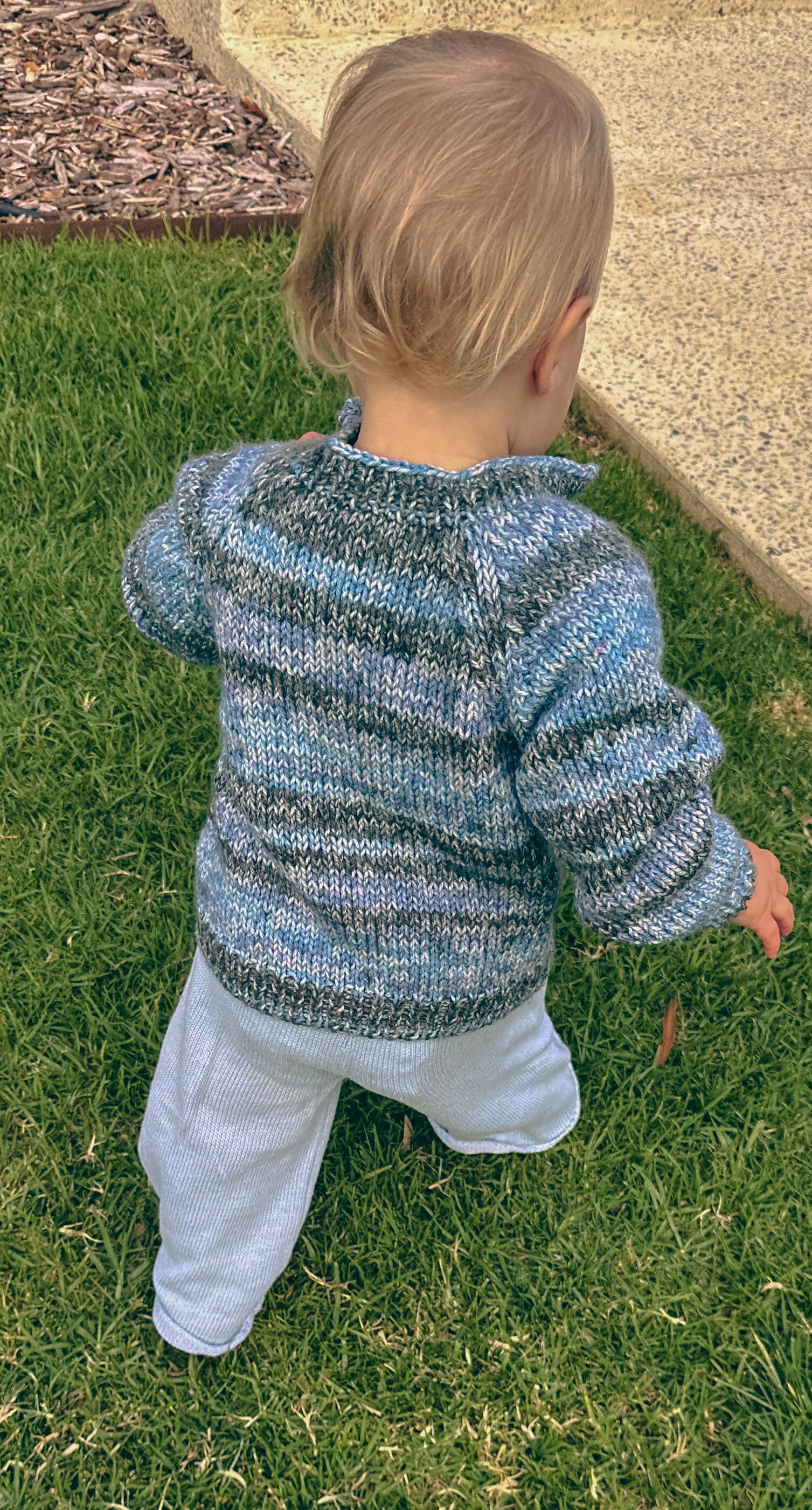 A toddler seen from behind wearing a blue and gray marled knit sweater and white pants, standing on a green grass lawn next to a concrete path.