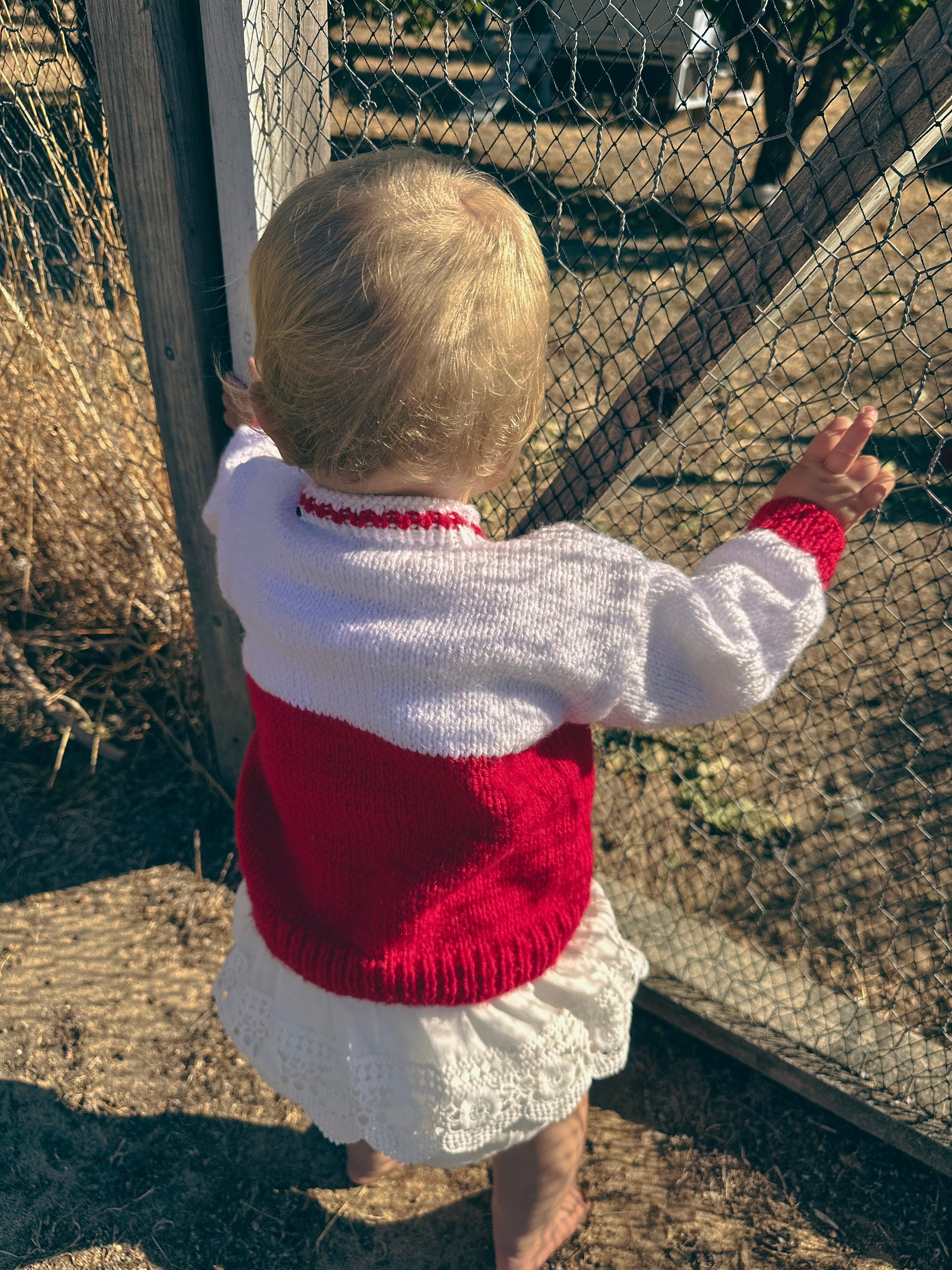 baby girl in red & white handmade knit jumper watching chickens outdoors. 