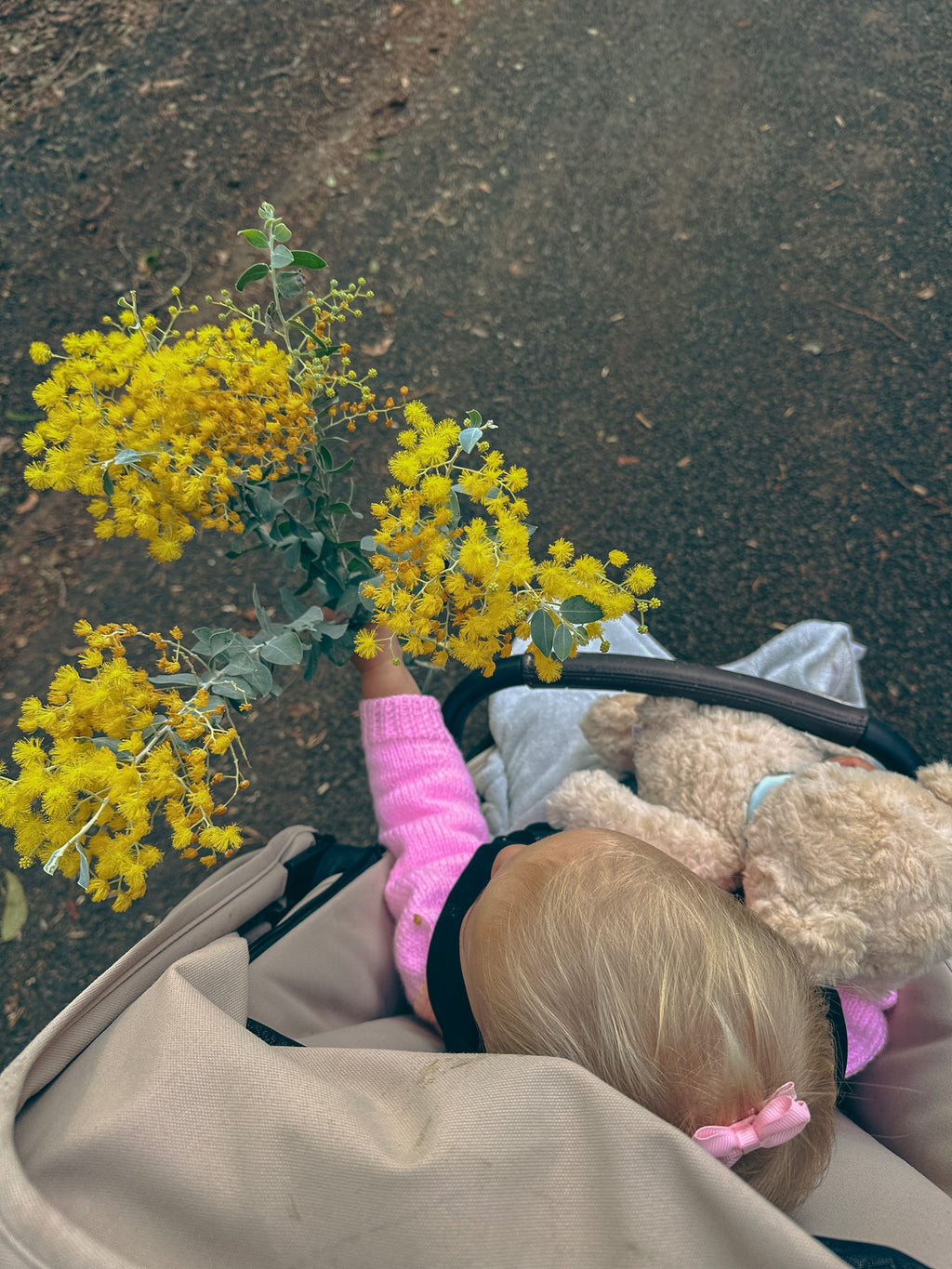 A top-down view of a toddler in a beige stroller holding a bouquet of bright yellow mimosa flowers. The child is wearing a pink long-sleeve knit cardigan and has a beige teddy bear on their shoulder, set against a dark asphalt background.
