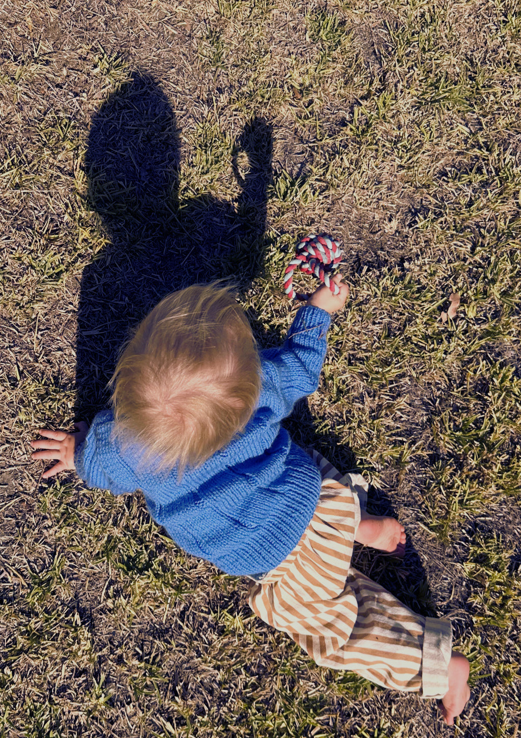 Child in a blue sweater crawling on grass with a shadow.