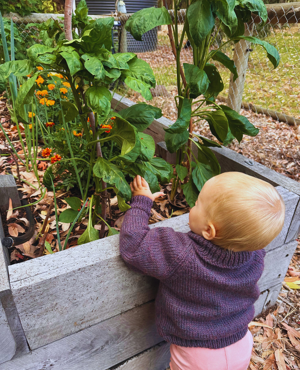 Child in purple sweater in a garden with plants and flowers