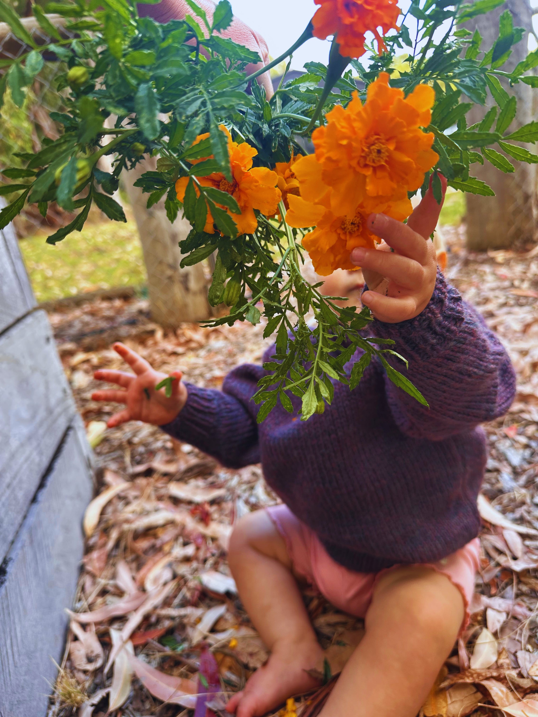 Child in orange sweater holding orange flowers in a natural setting with leaves and grass.