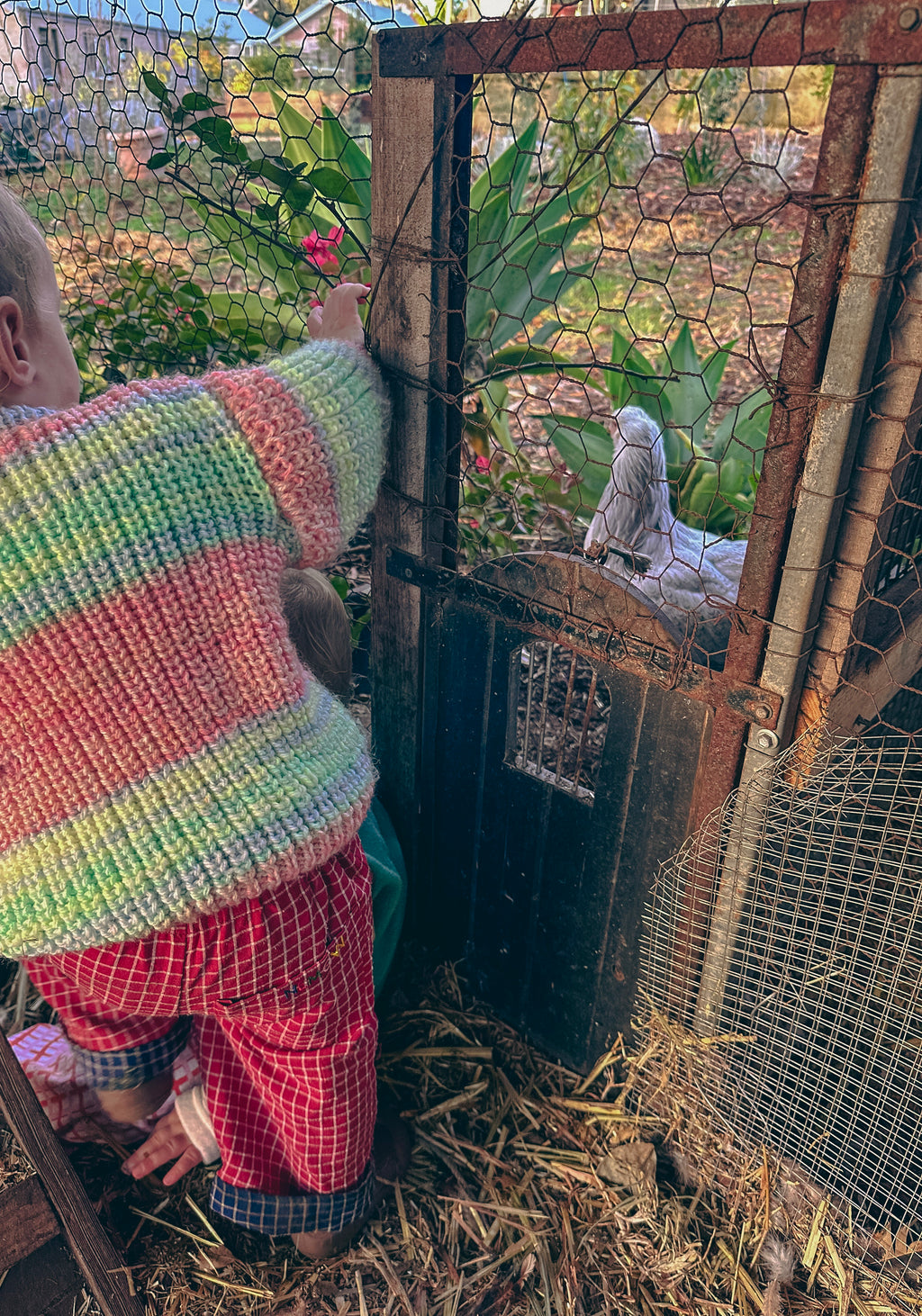 Khanya 1 — "Shine" Jumper | Handknit Kids Knitwear