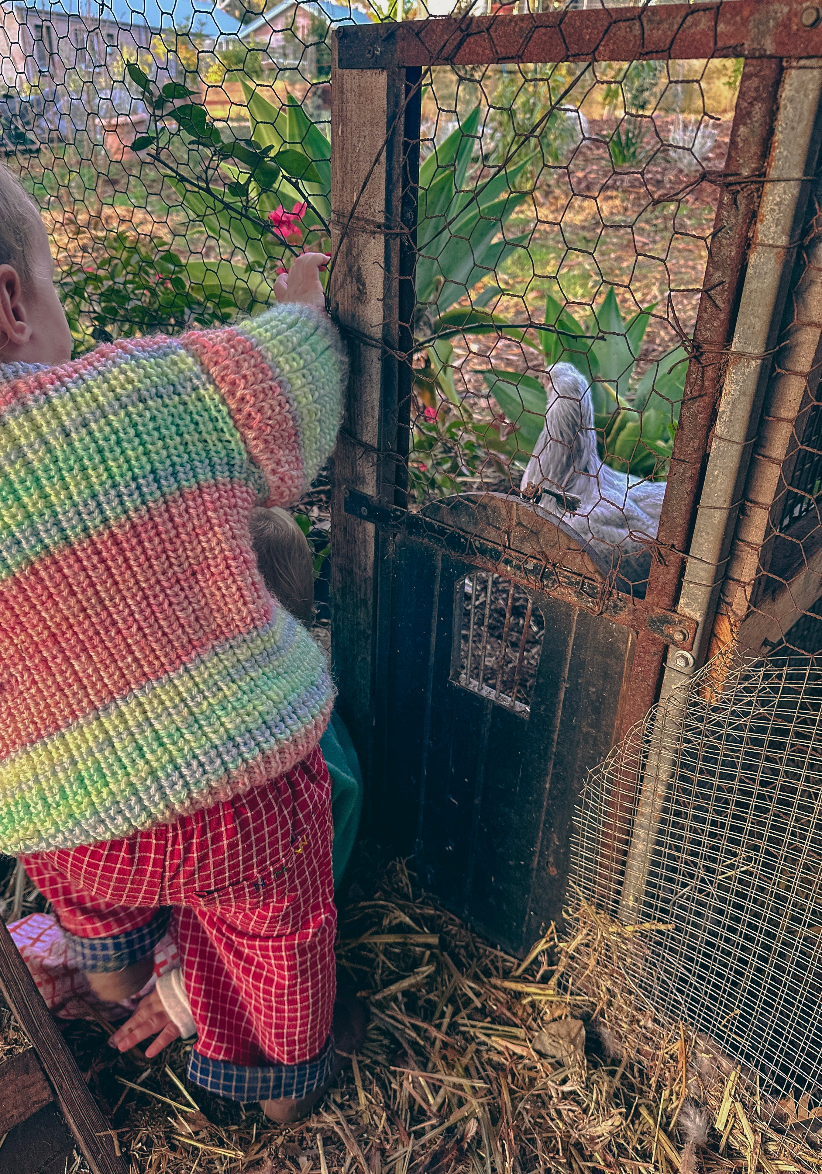 Georji — Fruity Ice Cream Jumper | Handknit Kids Knitwear