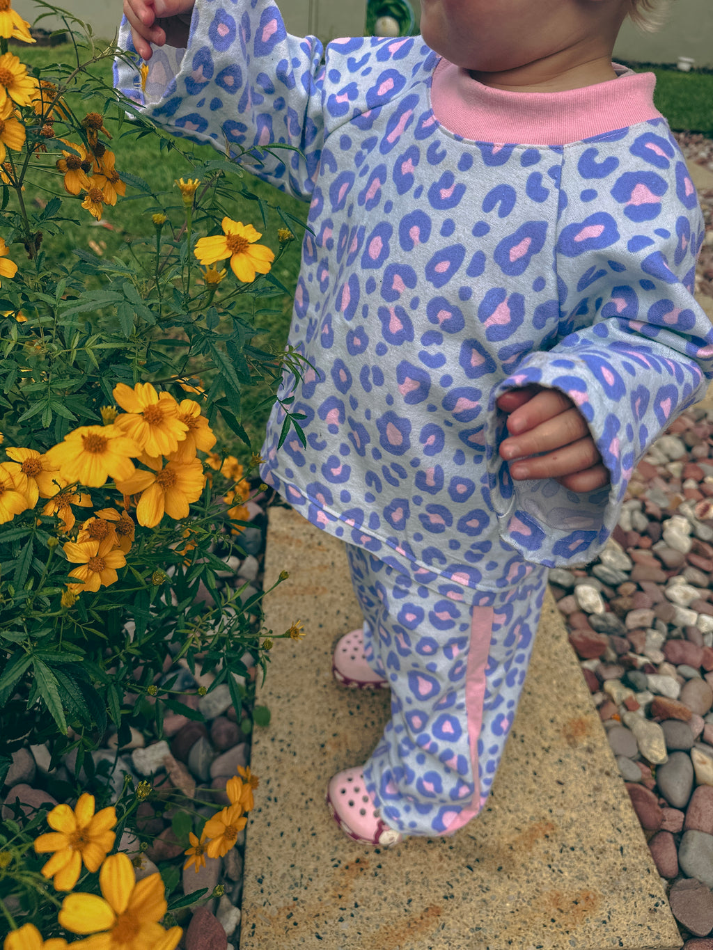 The Cotton Candy Leopard Set